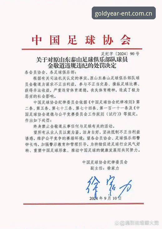 终身禁足 vs 五年禁足：足协第三批罚单的处罚梯度对比——金年会体育平台数据视角